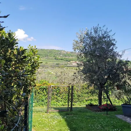 Appartamenti A Bardolino Room photo